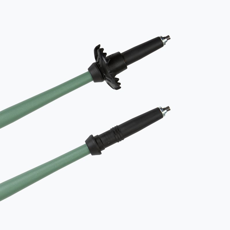 Trekking poles LEKI Makalu FX TA silver/greygreen/white 7