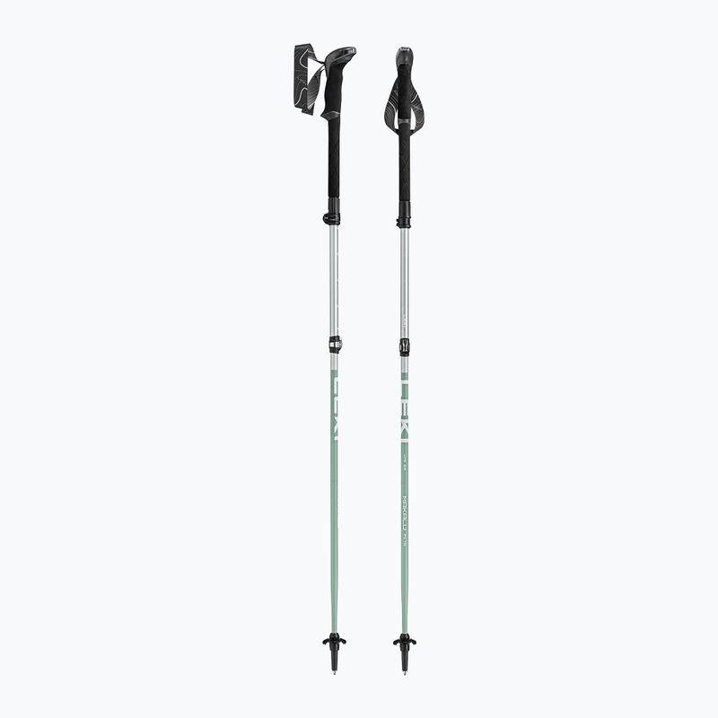 Trekking poles LEKI Makalu FX TA silver/greygreen/white