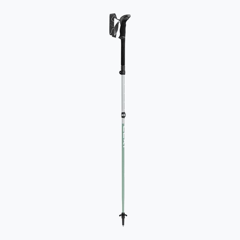 Trekking poles LEKI Makalu FX TA silver/greygreen/white 2