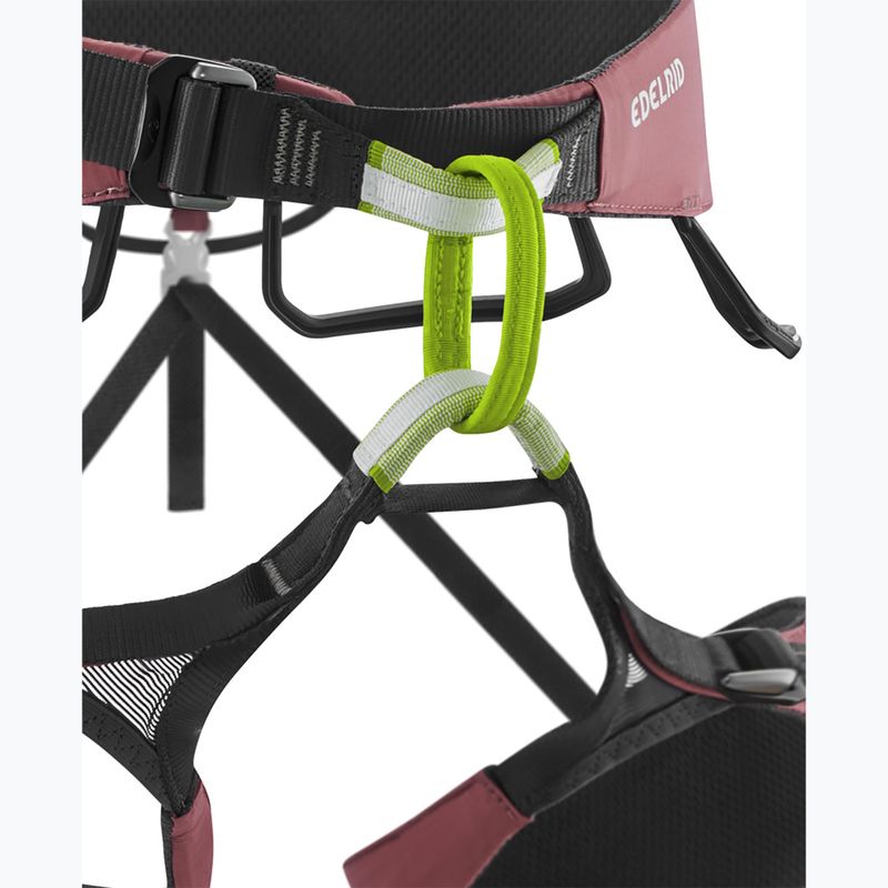 EDELRID Autana II climbing harness raspberry 3