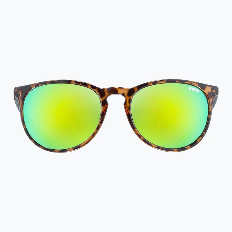 UVEX sunglasses Lgl 43 havanna black/mirror green 2