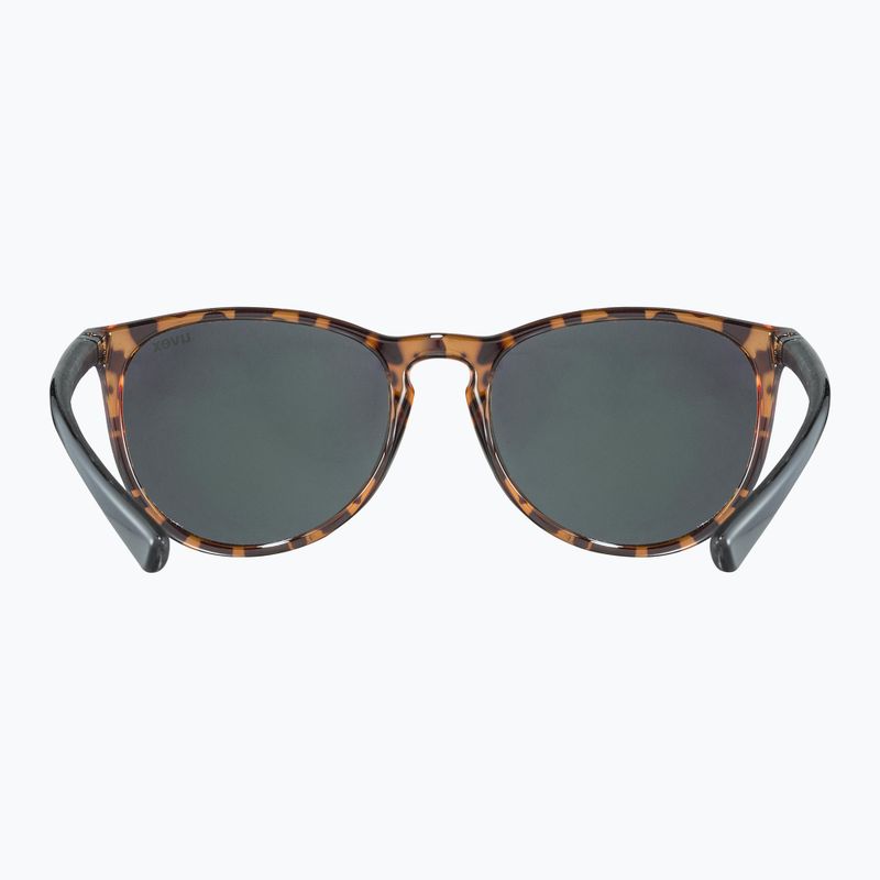 UVEX sunglasses Lgl 43 havanna black/mirror green 3