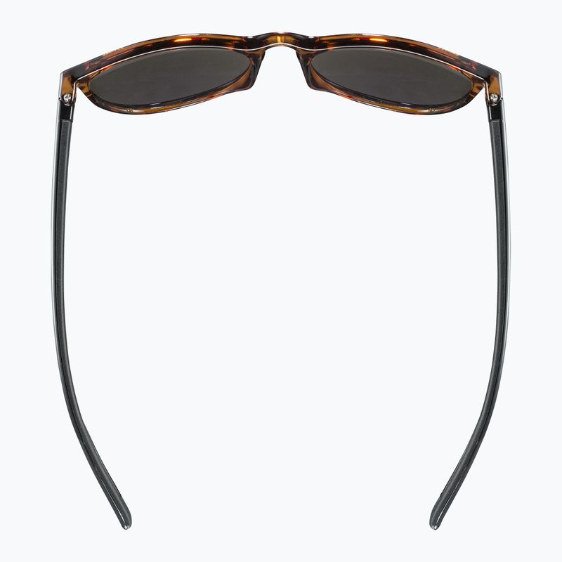 UVEX sunglasses Lgl 43 havanna black/mirror green 4
