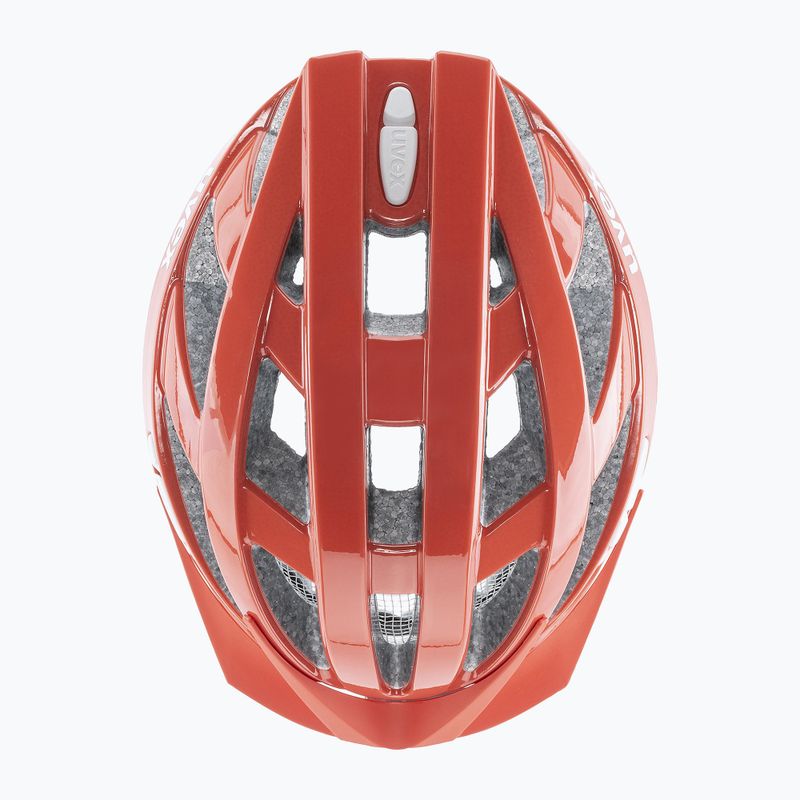 UVEX bicycle helmet I-vo 3D grapefruit 5