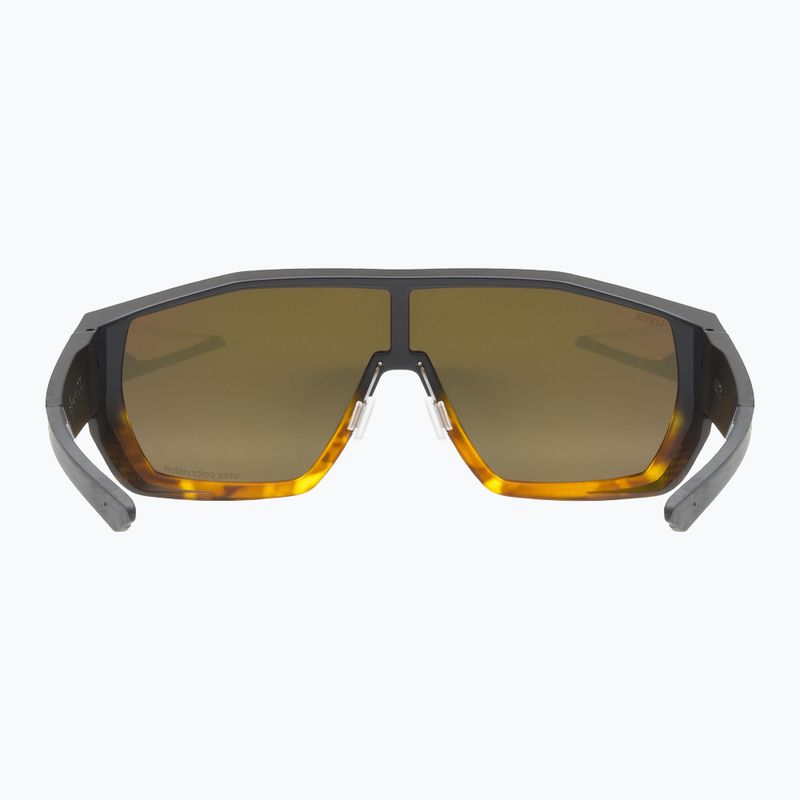 UVEX Mtn Style CV havanna matt fade/mirror champagne sunglasses 3