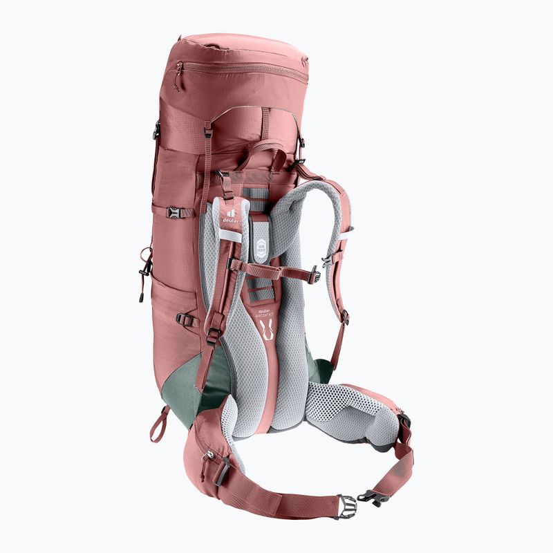 Women's trekking backpack deuter Aircontact Lite 35 + 10 SL brown 334002352150 4