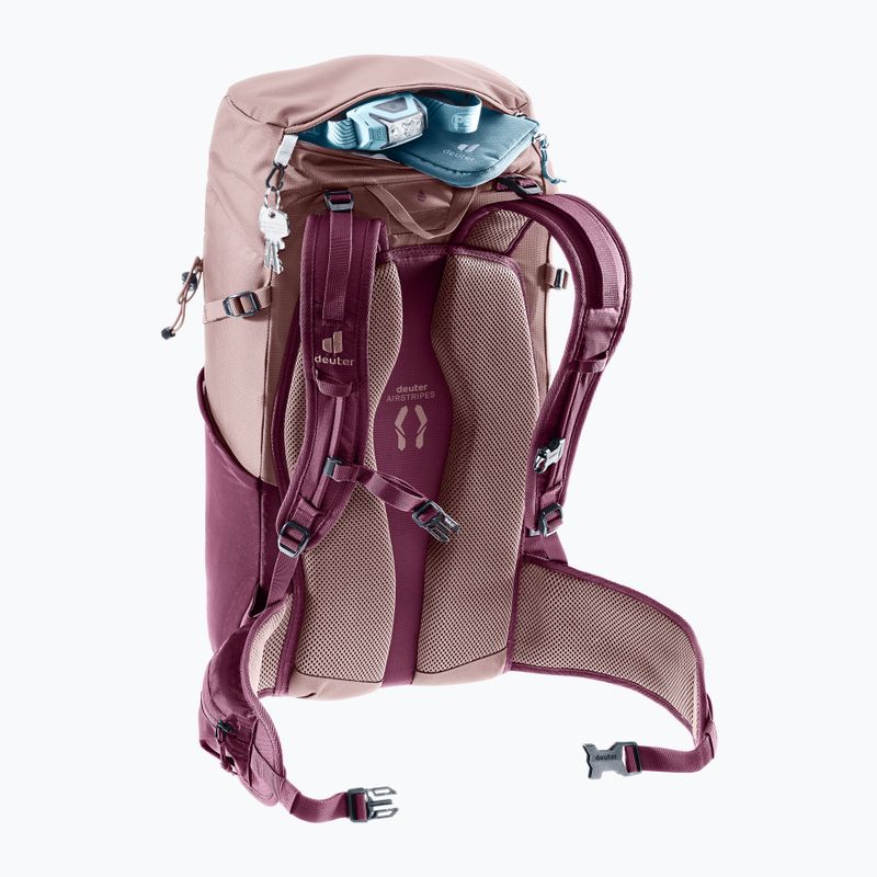 Hiking backpack deuter Telatie 24 l SL ashrose/cassis 8