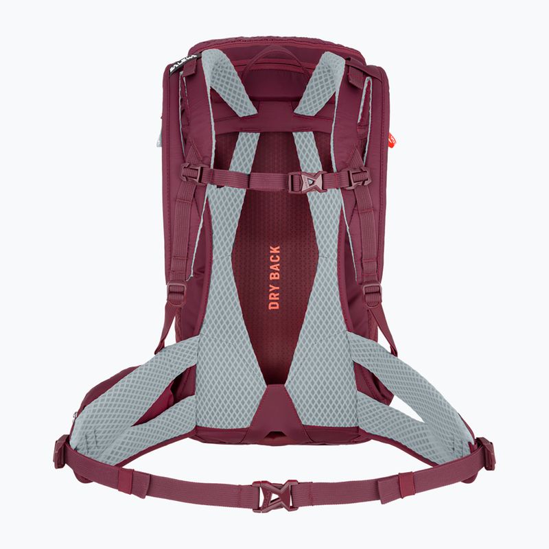 Salewa Alp Trainer 20 l women's trekking backpack purple 00-0000001262 2