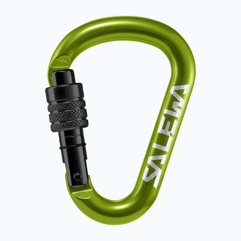 Salewa HMS Screw G2 carabiner green 00-0000001525