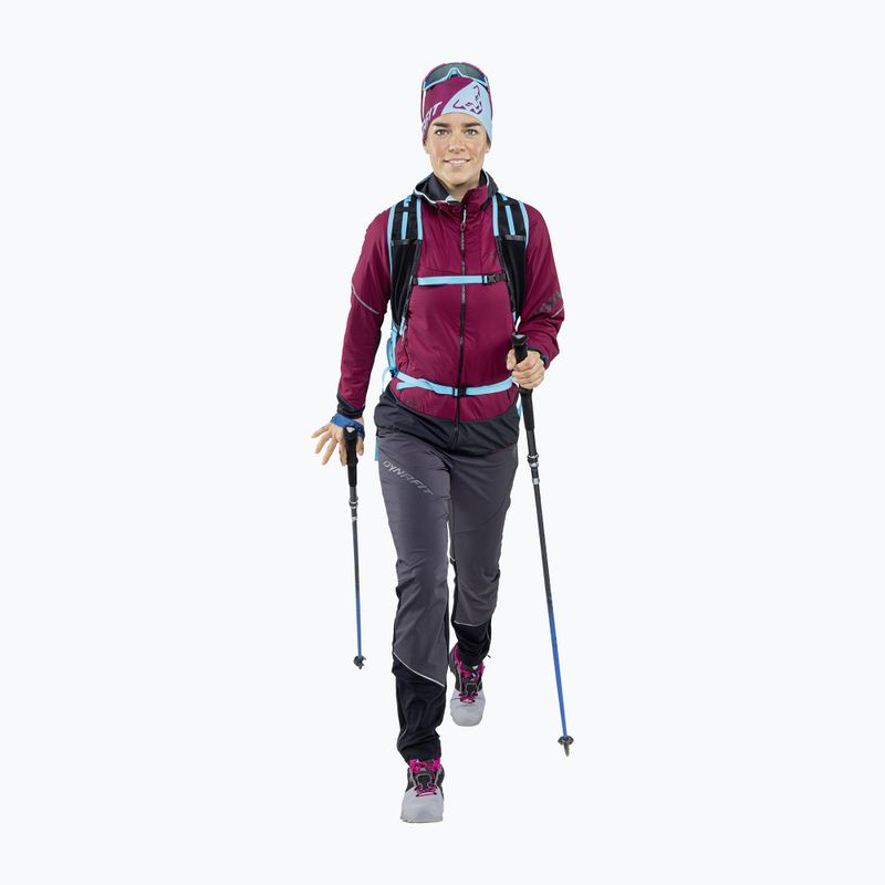 DYNAFIT Performance 2 Dry headband purple-blue 08-0000070896 2