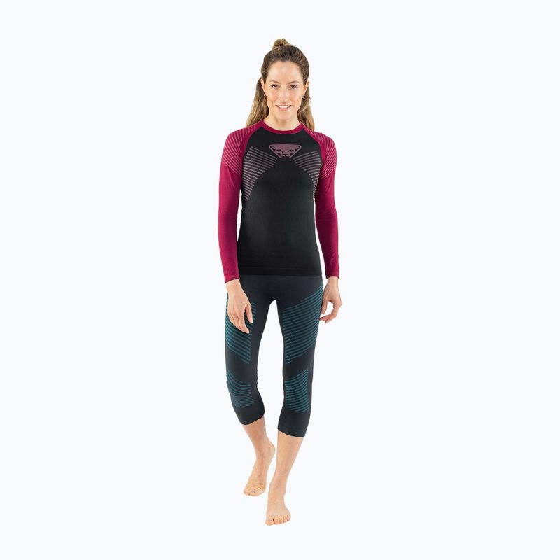 Women's DYNAFIT Speed Dryarn thermal pants blue 08-0000071061 2