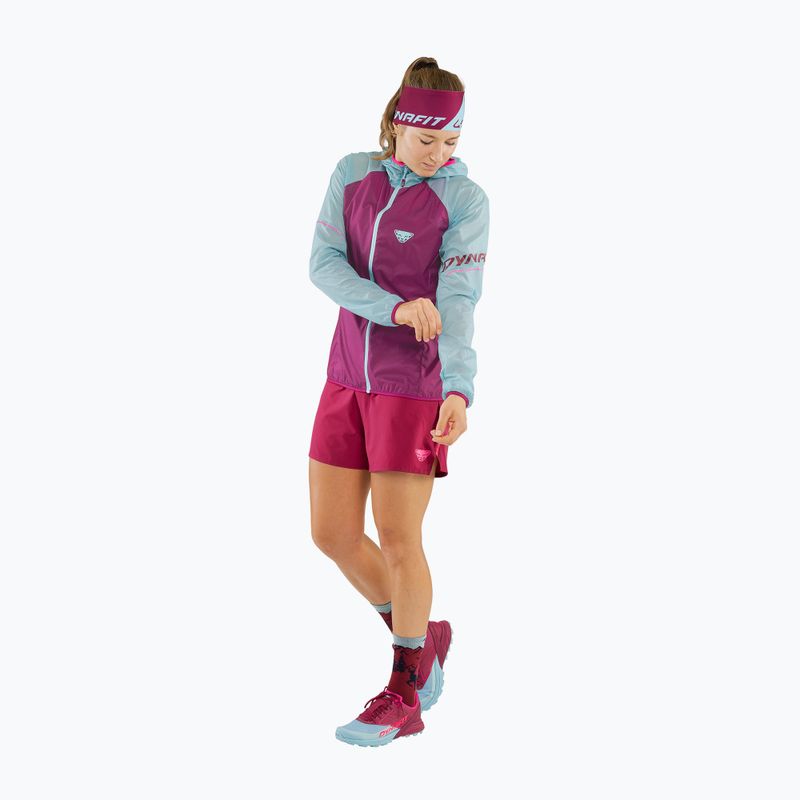 Women's DYNAFIT Alpine Wind 2 running jacket purple-blue 08-0000071155