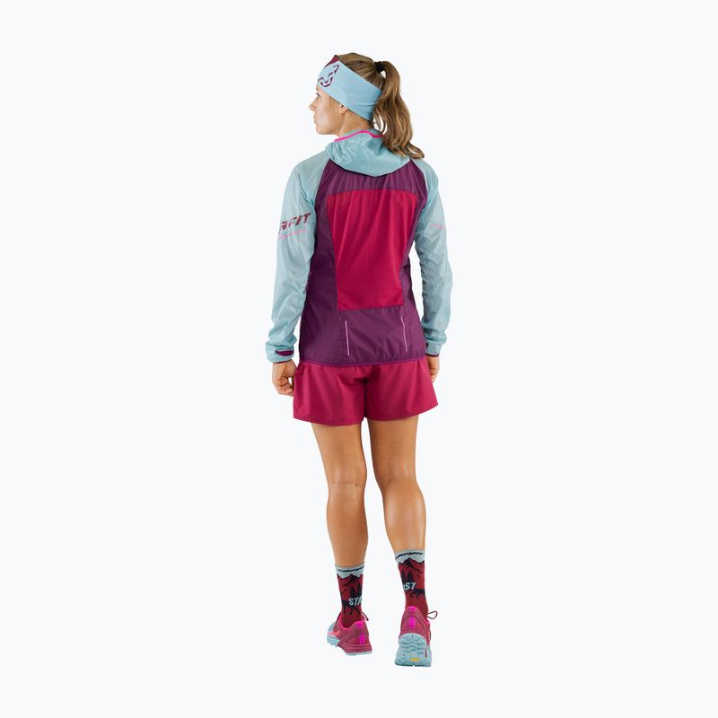 Women's DYNAFIT Alpine Wind 2 running jacket purple-blue 08-0000071155 2