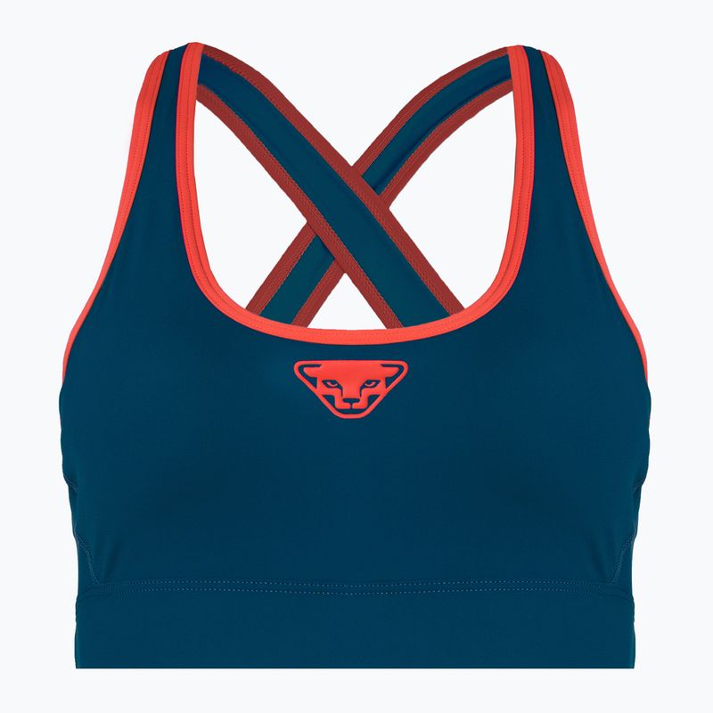 DYNAFIT Alpine running bra navy blue 08-0000071478