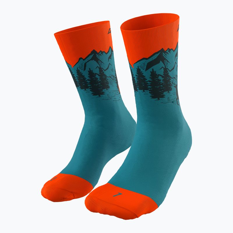 DYNAFIT Stay Fast storm blue running socks