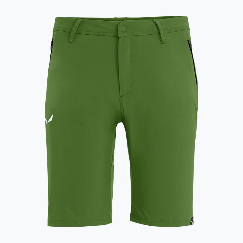Salewa Talveno DST men's hiking shorts light green 00-0000027064 4