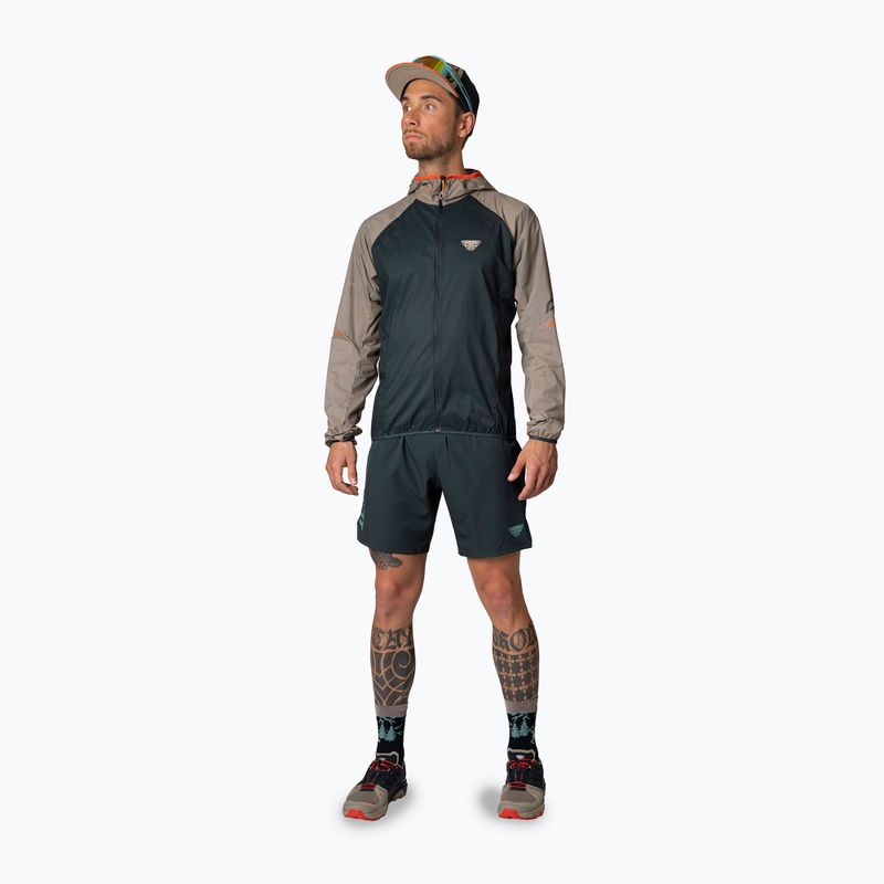 Men's DYNAFIT Alpine blueberry/storm blue running shorts 3