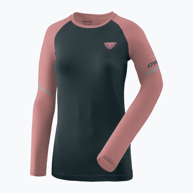 Women's DYNAFIT Alpine Pro bluberry mokarosa running longsleeve 3