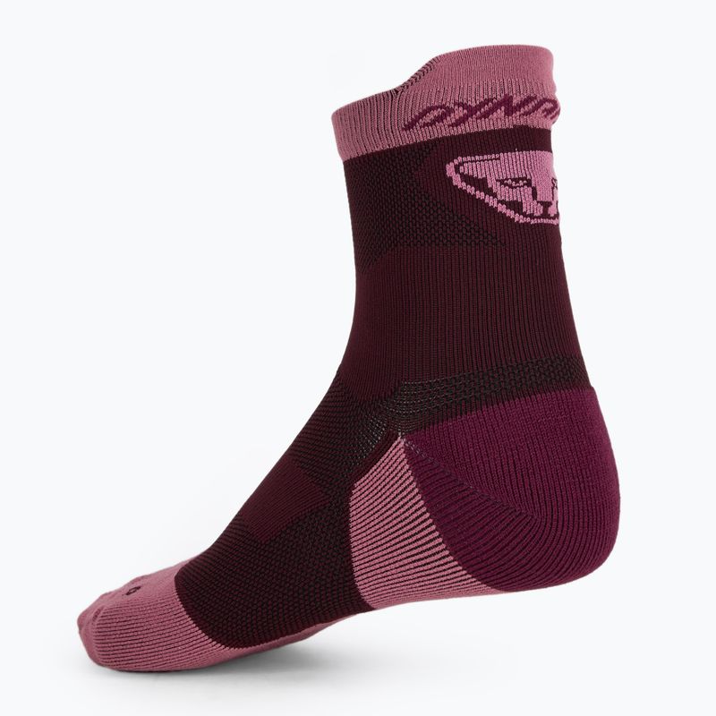 DYNAFIT Transalper burgundy running socks 2
