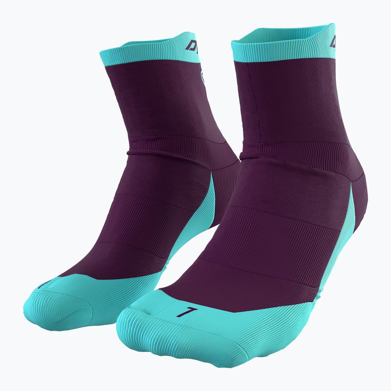 DYNAFIT Transalper royal purple running socks