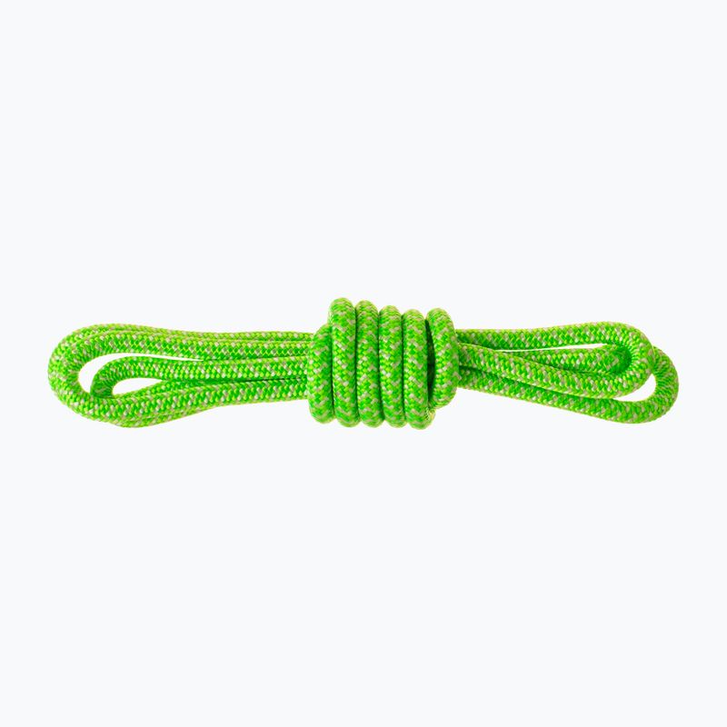 Salewa Ortles Master Cord 6mm Precut green climbing rope