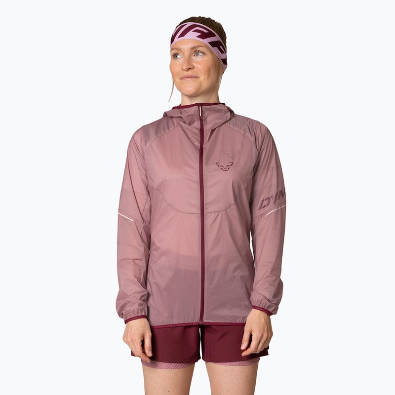 DYNAFIT women's running jacket Vert Wind 72 mokarosa