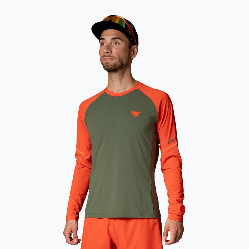 Men's DYNAFIT Alpine Pro thyme running longsleeve