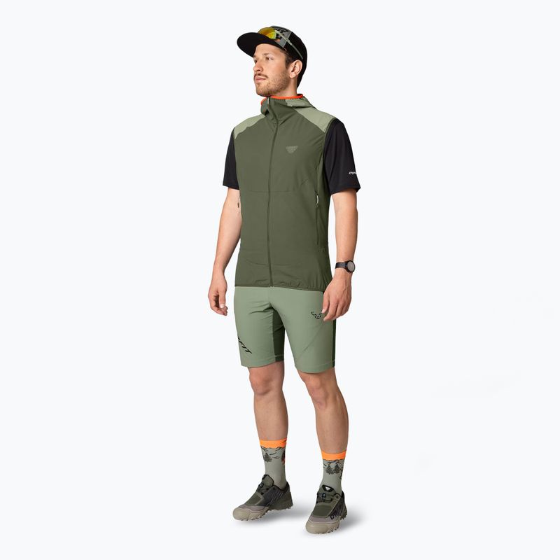 Men's DYNAFIT Transalper Light Dynastretch sage trekking shorts 2