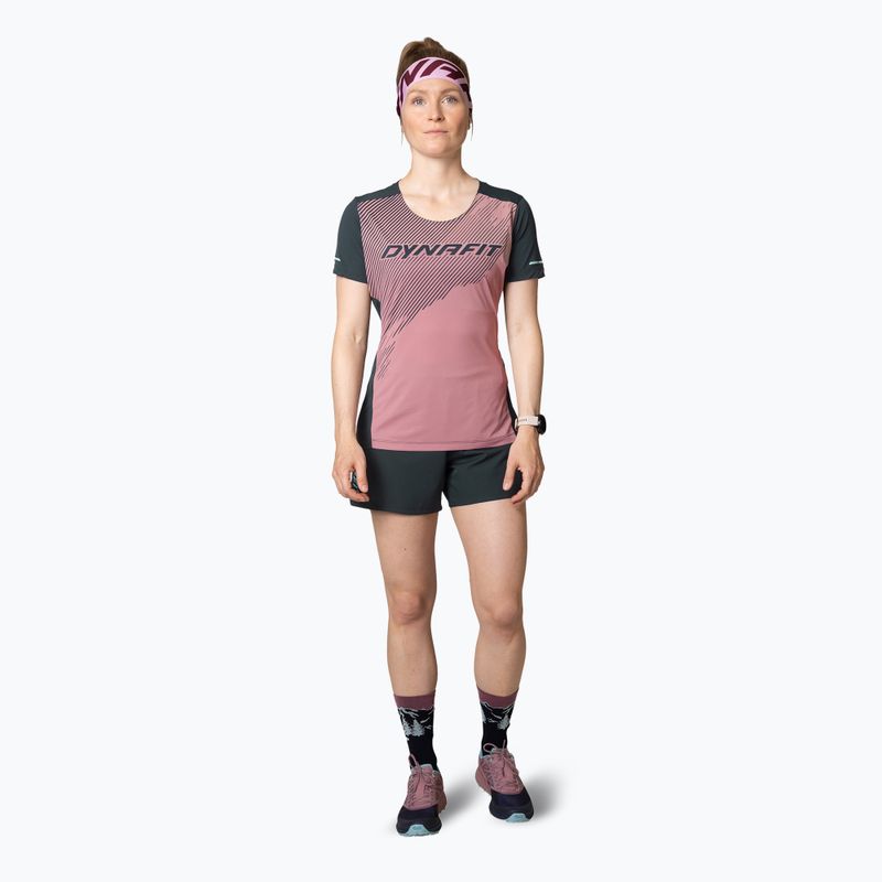 Women's DYNAFIT Alpine 2 Tee mokarosa running t-shirt 2