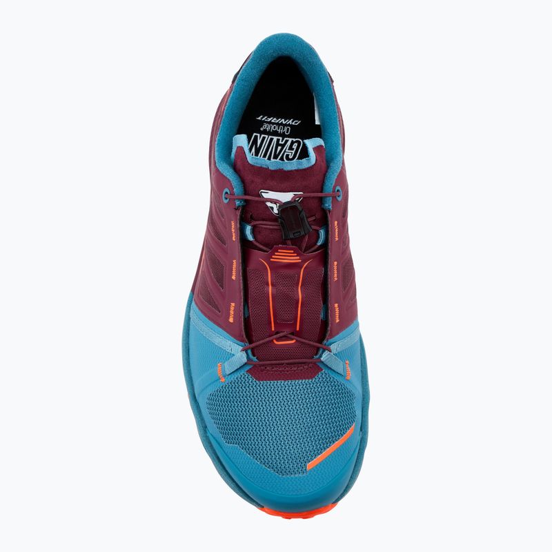 Men's DYNAFIT Alpine Pro 2 running shoe storm blue/burgundy 5