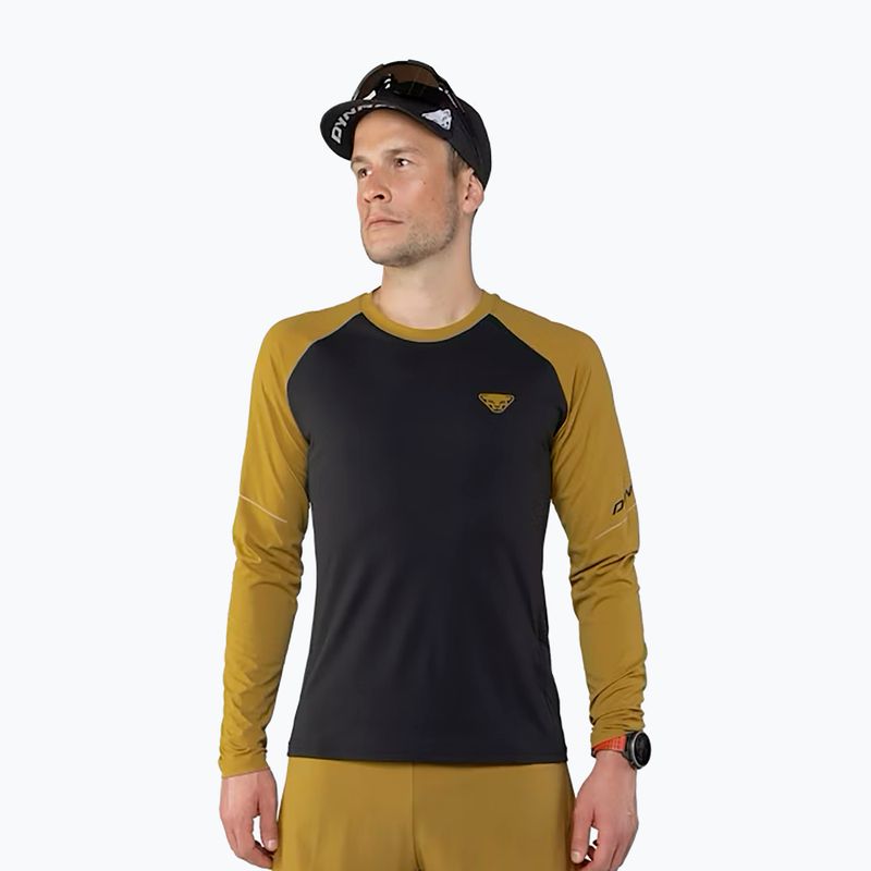 Men's DYNAFIT Alpine Pro black out tabacco running longsleeve