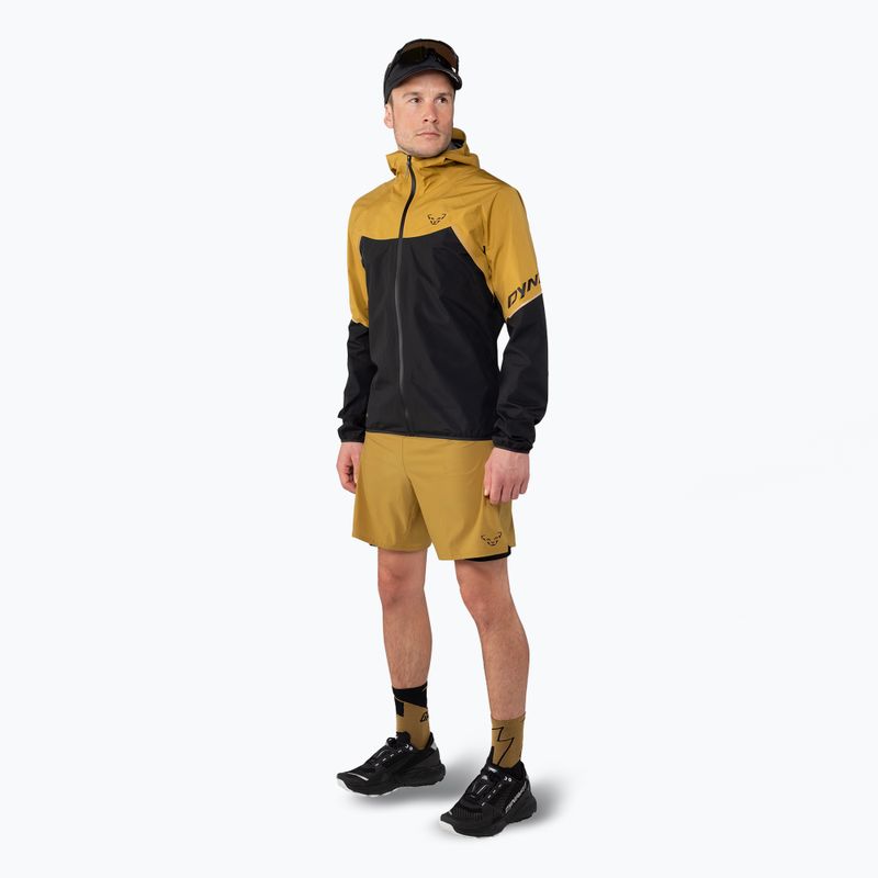 Men's DYNAFIT Alpine Pro 2IN1 tobacco running shorts 2