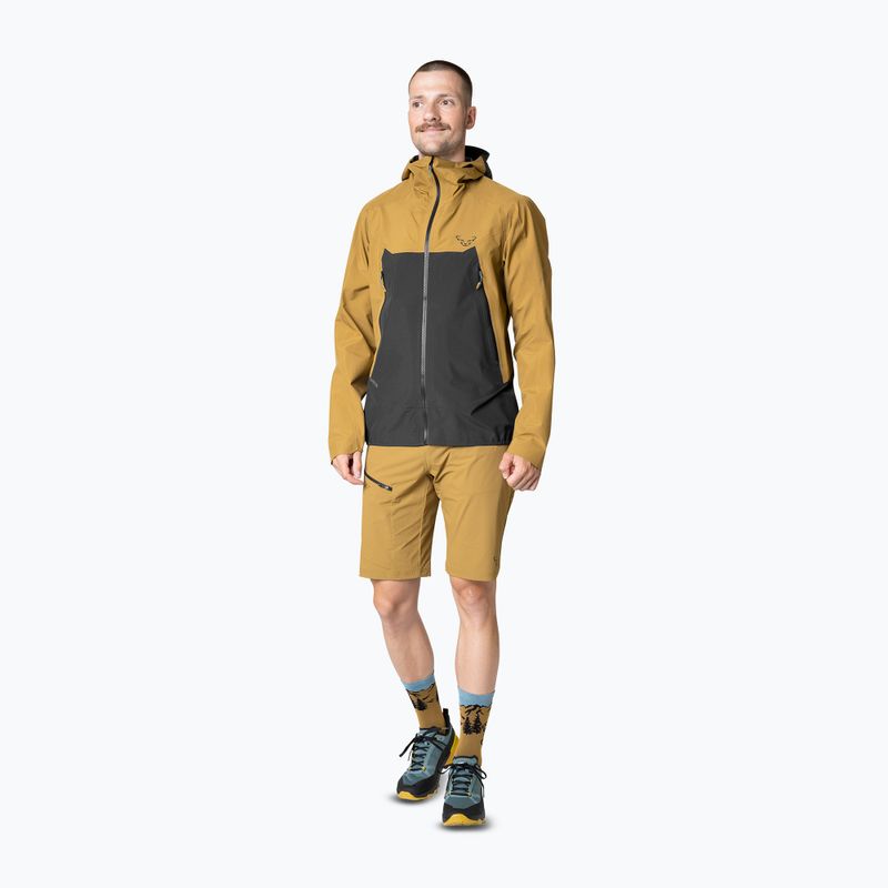 Men's DYNAFIT Transalper GTX rain jacket relic/0910 2