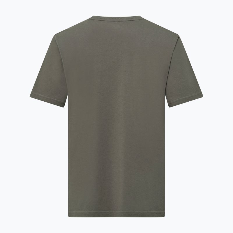 Men's Salewa Eagle Nature faded green T-shirt 2