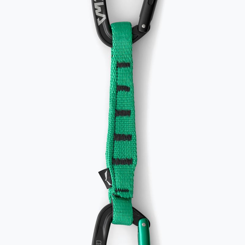 Climbing quickdraw Salewa Ortles Str/Bnt 170 Qd black/irish green 2