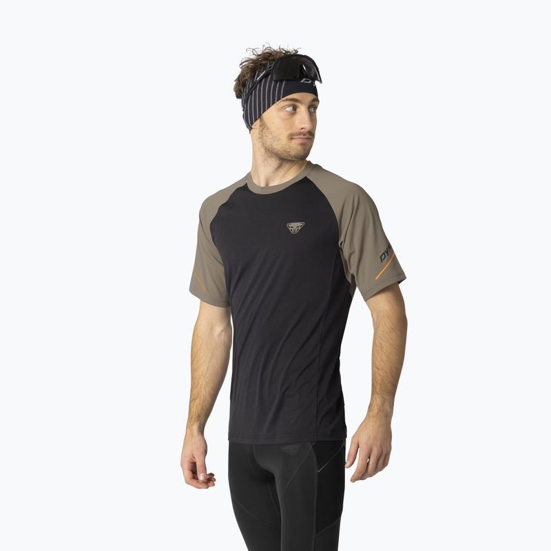 Men's running top DYNAFIT Alpine Pro fallen rock/0936