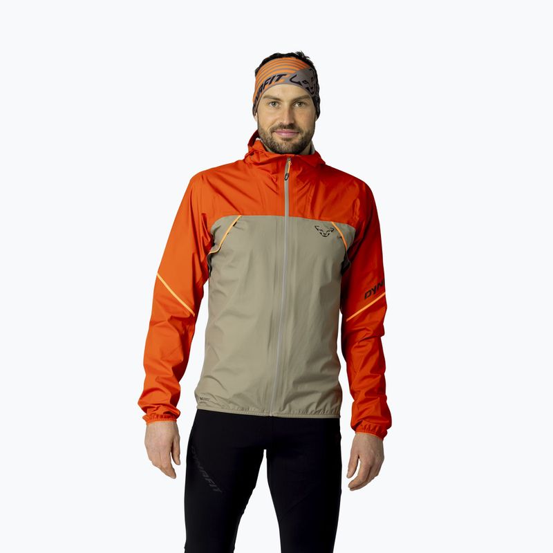 Men's running jacket DYNAFIT Alpine 3L alabama