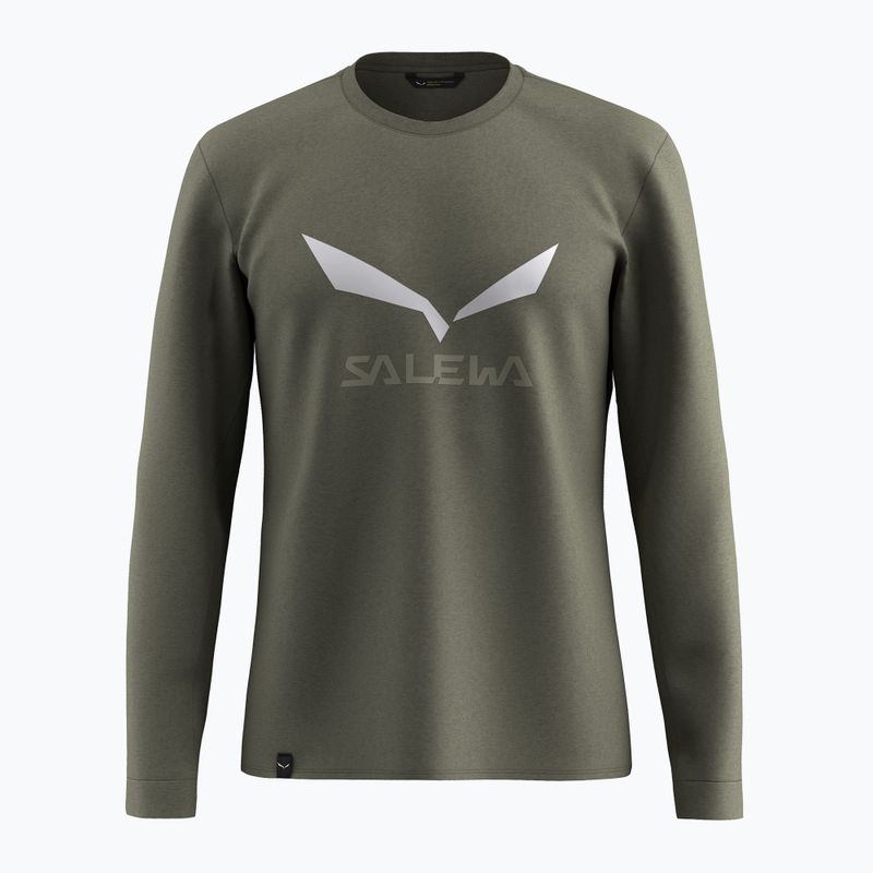 Men's long-sleeve Salewa Solidlogo Dry faded green