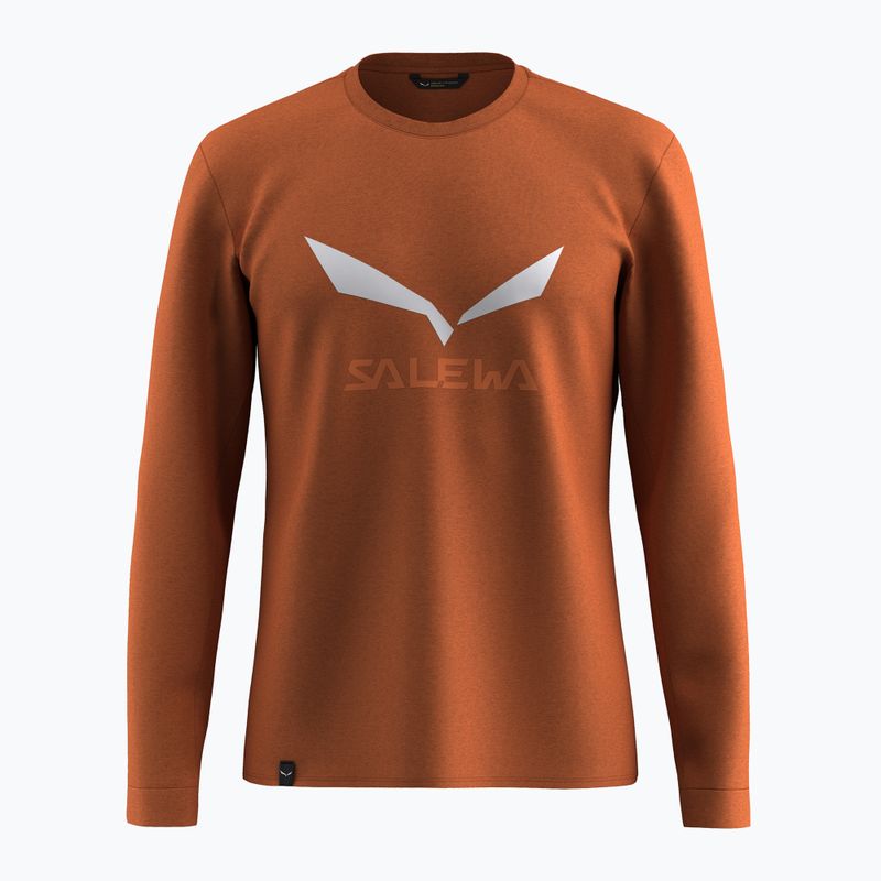 Men's long-sleeve Salewa Solidlogo Dry Bombay Brown