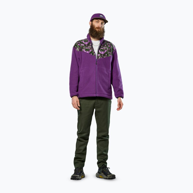 Trekking sweatshirt Salewa Eagle Anniversary plum 2