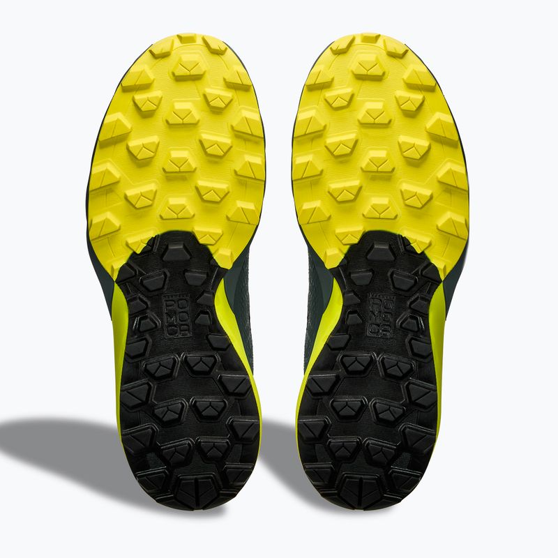 Men's running shoes DYNAFIT Ultra GTX hurricane/black out 9