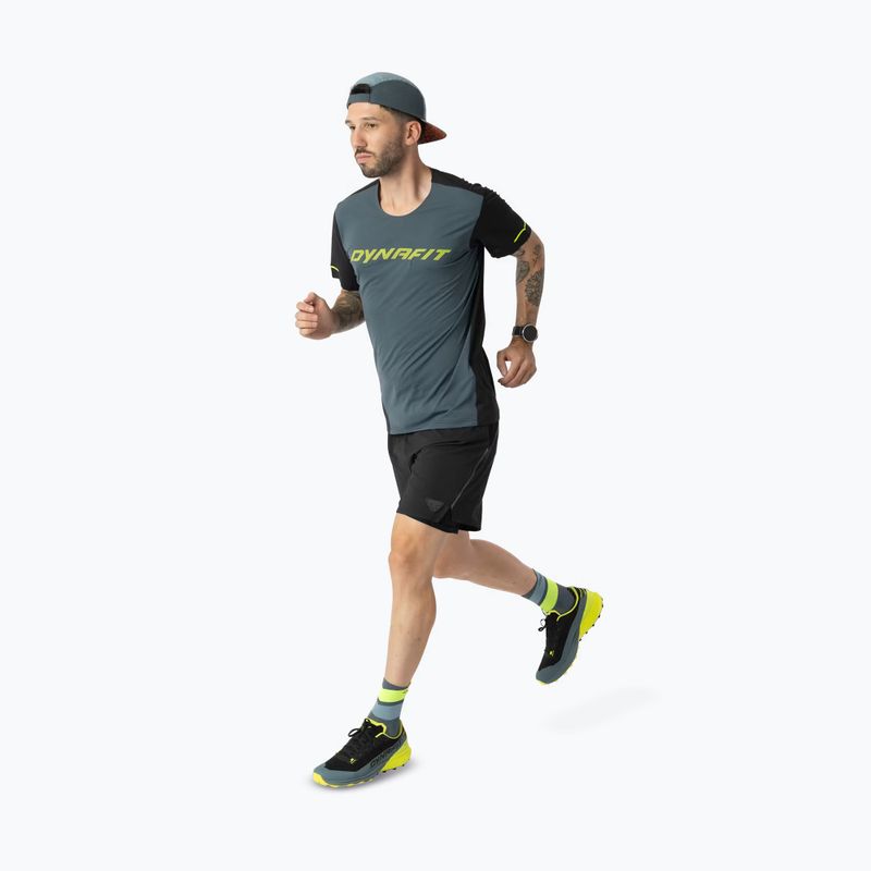 Men's running shirt DYNAFIT Alpine 2 cinder 2