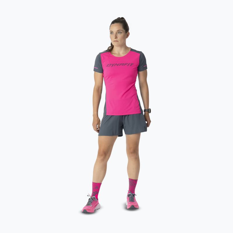 Women's running top DYNAFIT Alpine 2 Tee pink glo 2