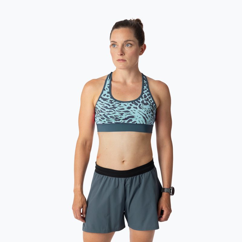 Training bra DYNAFIT Alpine Graphic cloud blue 2