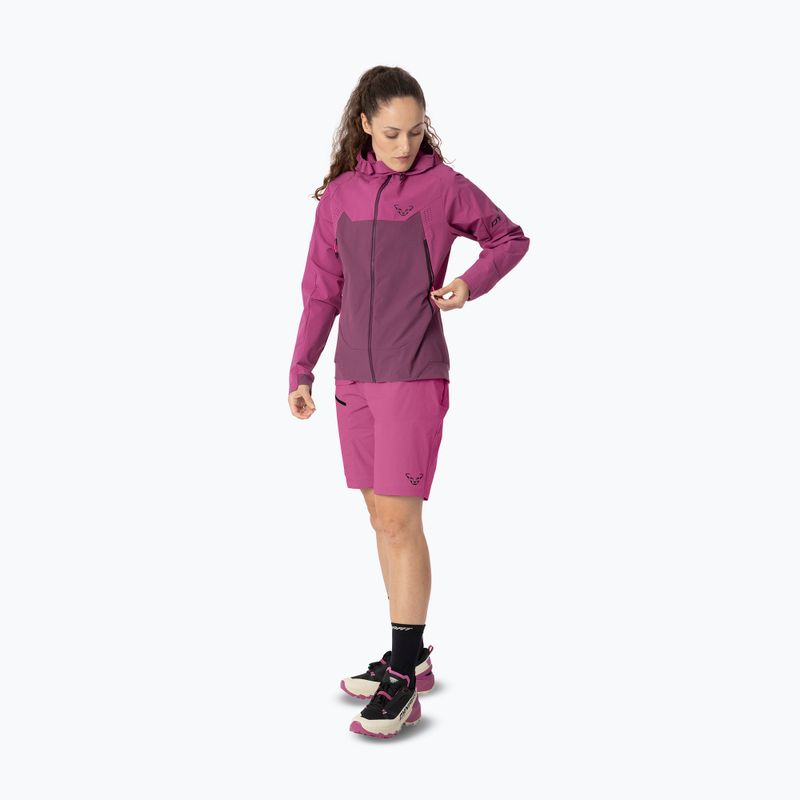 Women's softshell jacket DYNAFIT Transalper Dynastretch magenta/6a70 2