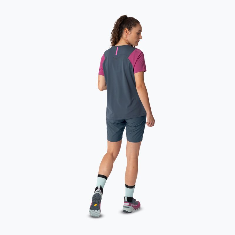Women's trekking T-shirt DYNAFIT Transalper magenta/0720 3