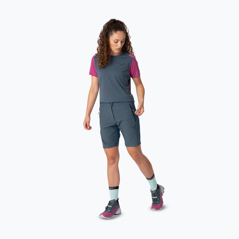 Men's trekking shorts DYNAFIT Transalper Light Dynastretch cinder/0910 2