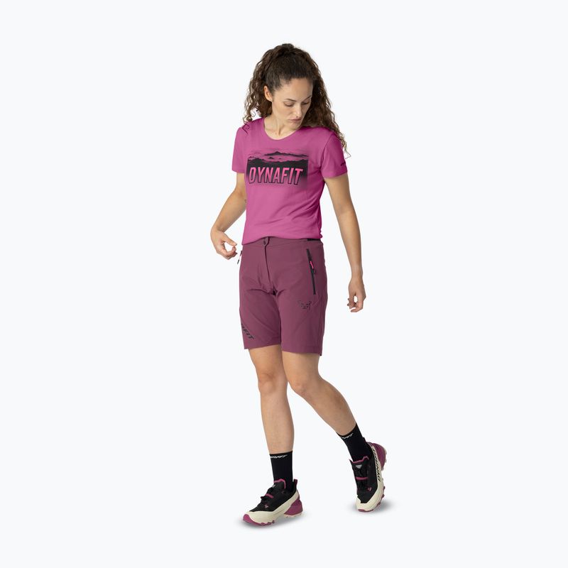 Women's trekking shorts DYNAFIT Transalper Light Dynastretch amaranth/0910 2