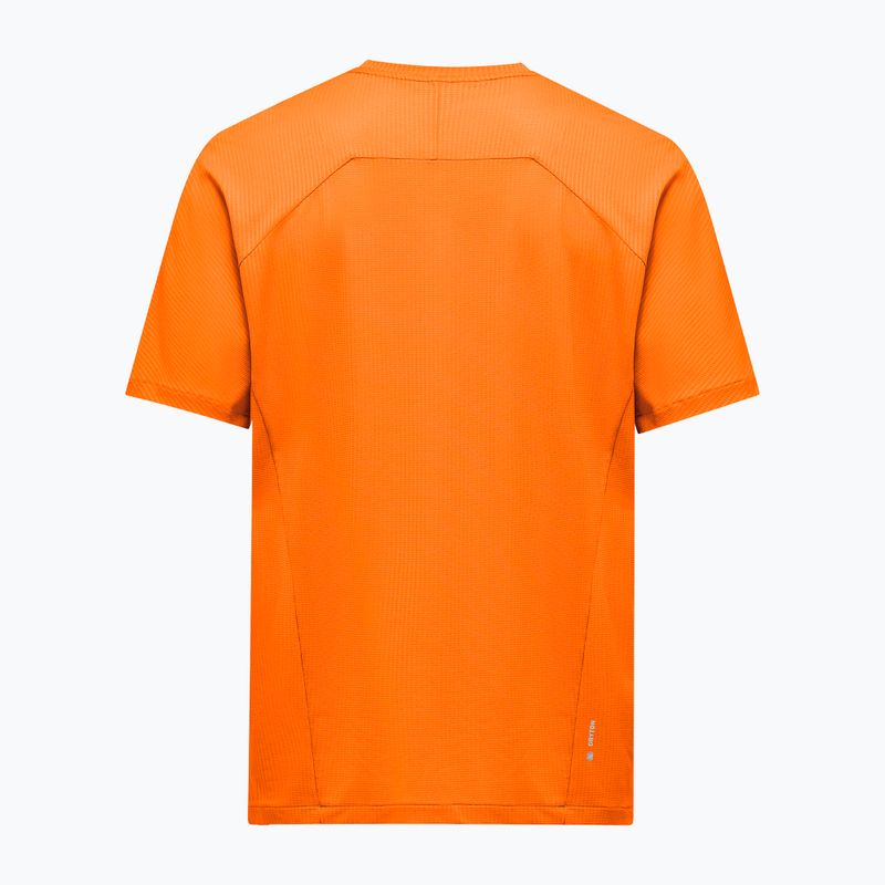 Men's T-shirt Salewa Pedroc Dry Light turmeric 2