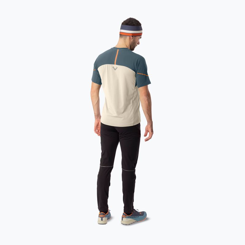 Men's running shirt DYNAFIT Alpine Pro overcast/0720 3